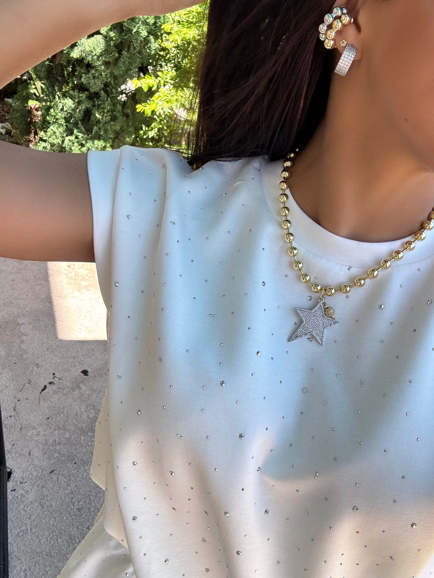 Star goose silver necklace